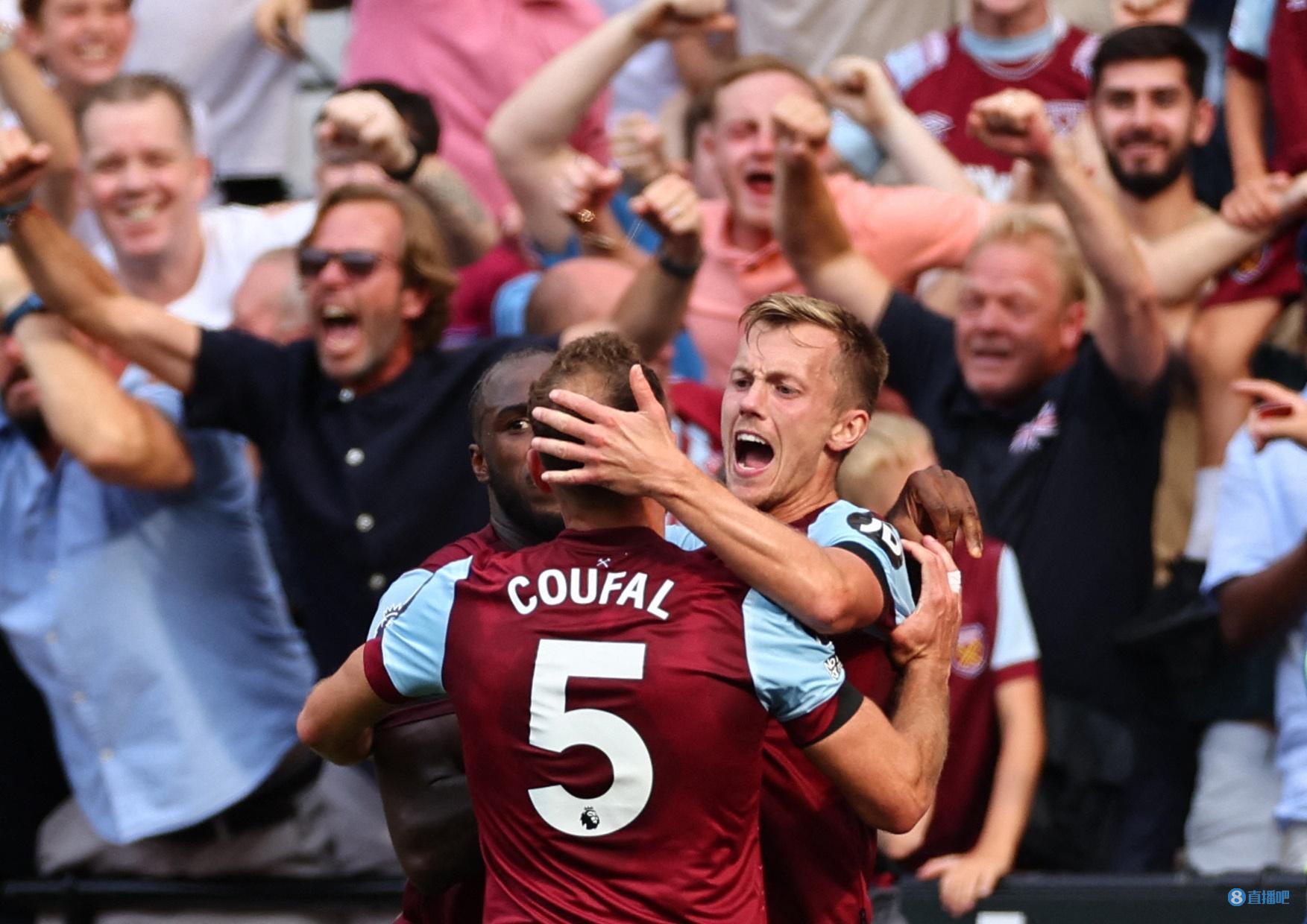 养和团队的 养和团队的